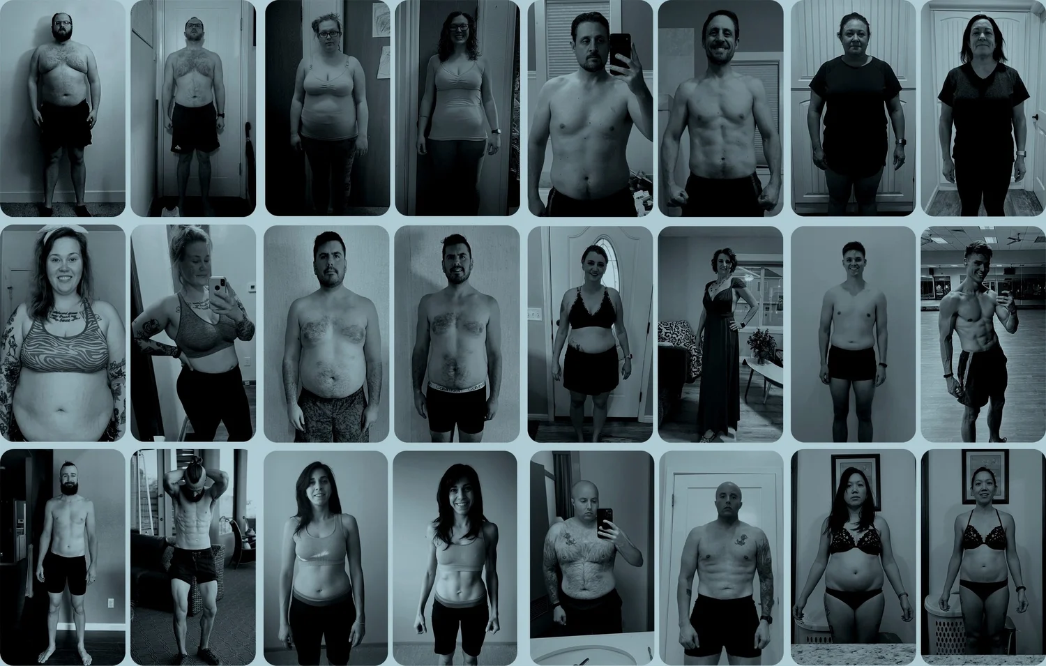 vegan diet for fat loss - Article 2